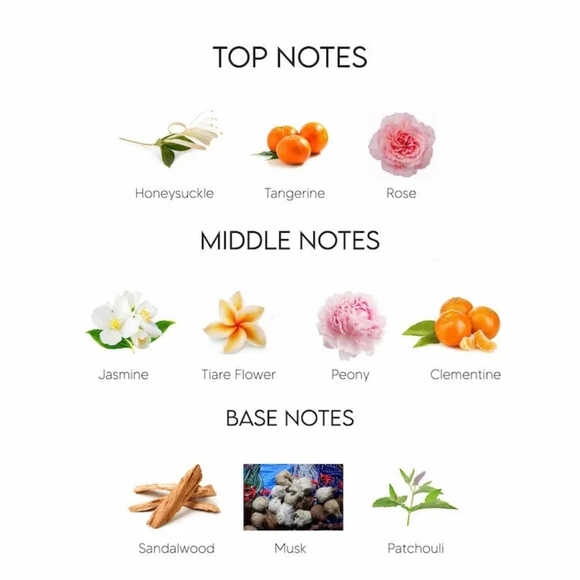 Freshie-Burberry Londen Air Freshener-MANY FRAGRANCES AVAILABLE!! - Picture 4 of 6